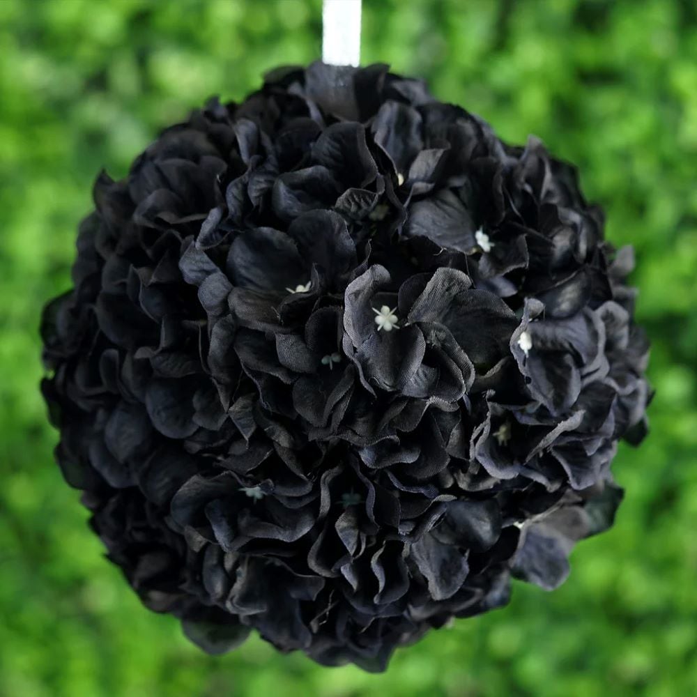 Black hydrangea