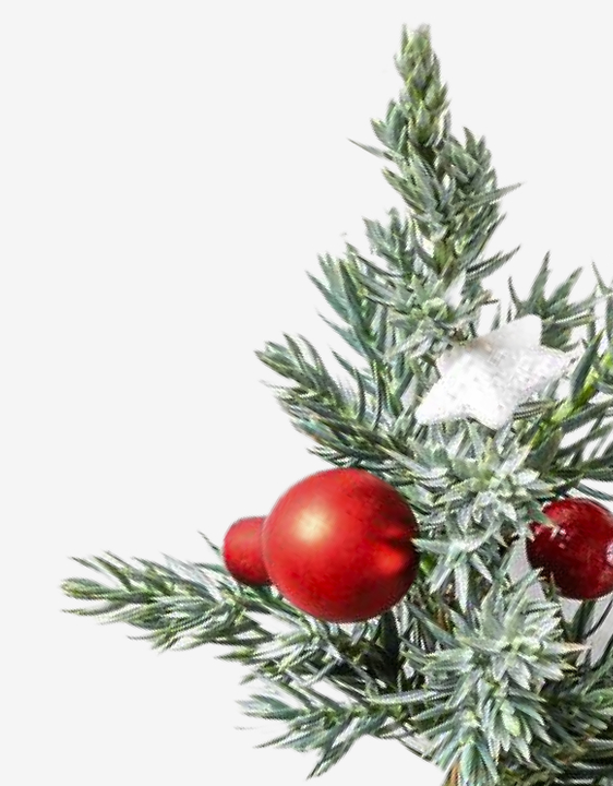 Christmas Collection