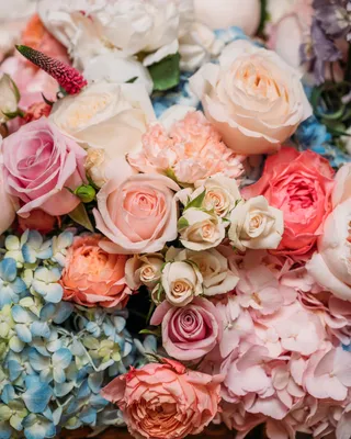 Luxurious Gift Set True Fiesta