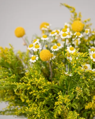 Vase arrangement Sun-kissed