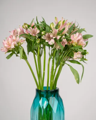 Vase arrangement Gentle Breeze