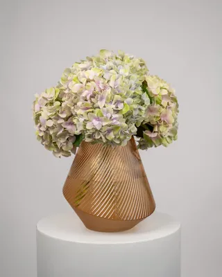 Hydrangea Vase arrangement Cozy Haven delivery in Dubai