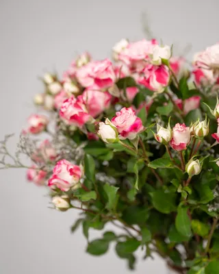 Vase arrangement with spray roses Bright Outlook