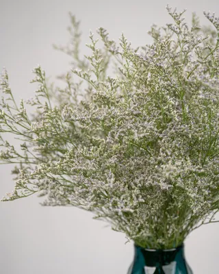 مزهرية مونوبوكيه أحادية الترتيب أمبيانس