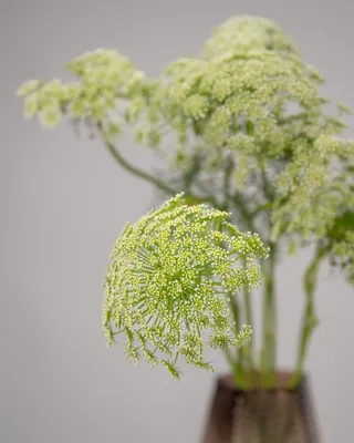 Monobouquet vase arrangement Artistic Flair