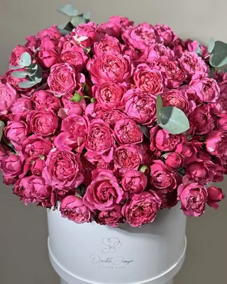 Box arrangement Joyride delivery in Dubai