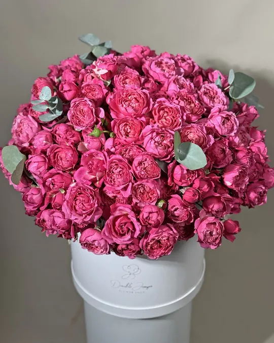 Box arrangement Joyride