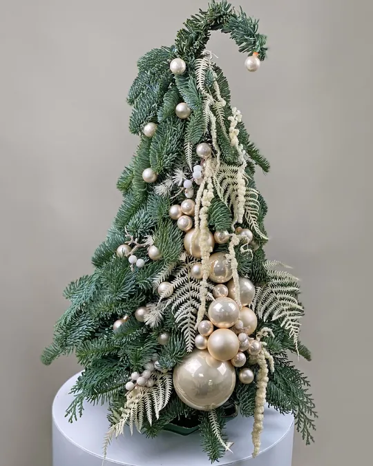 Christmas tree Nordic Beauty