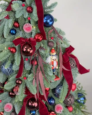 Christmas tree Evergreen Charm