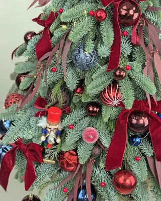 Christmas tree Evergreen Charm