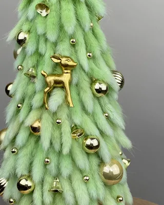 شجرة نزوة الشتاء