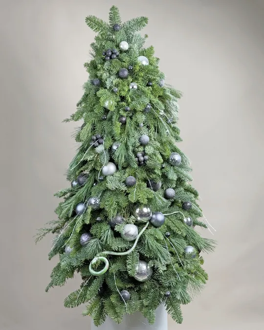 Christmas tree Wisdom Snake Year