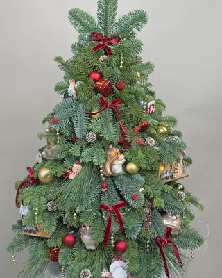 Christmas tree Childhood vibes