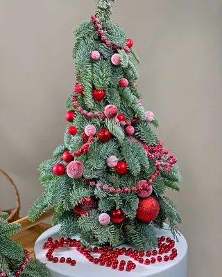 Christmas tree Sugarplum Sparkle