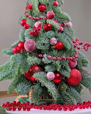 Christmas tree Sugarplum Sparkle