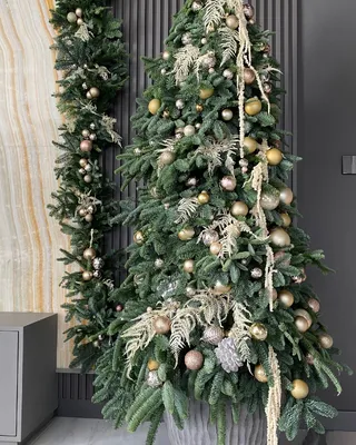 Christmas tree Starry Fir