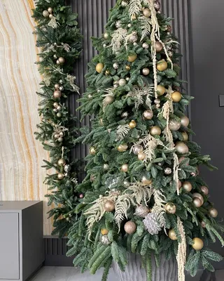 Christmas tree Starry Fir