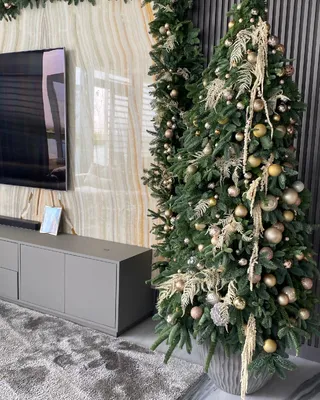 Christmas tree Starry Fir