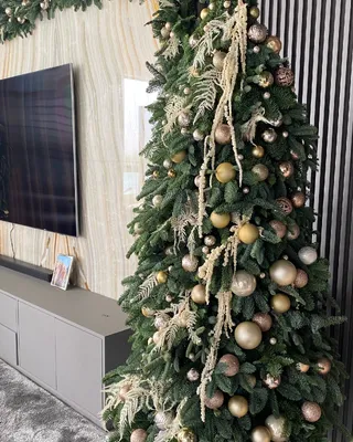 Christmas tree Starry Fir