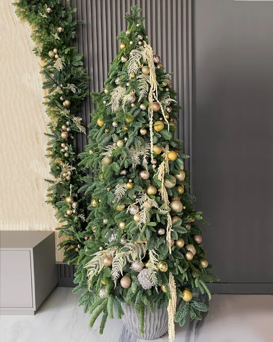 Christmas tree Starry Fir