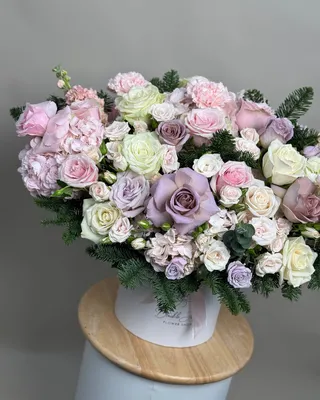 ترتيب الصندوق أناقة الشتاء