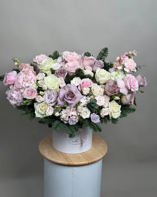 ترتيب الصندوق أناقة الشتاء