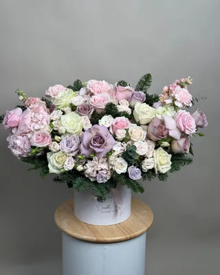 ترتيب الصندوق أناقة الشتاء