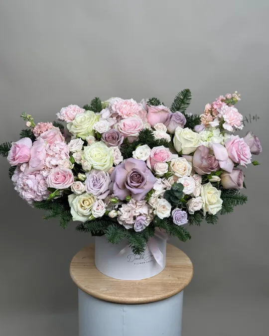 ترتيب الصندوق أناقة الشتاء