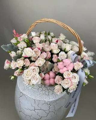 ترتيب السلة سحر الخجل الخجول