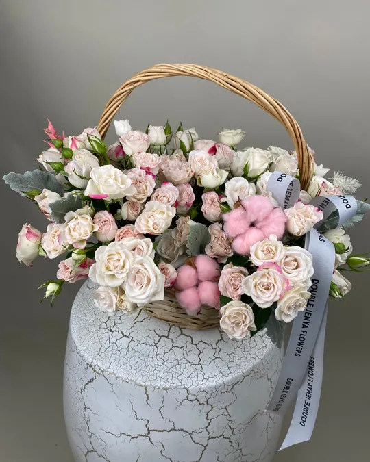 ترتيب السلة سحر الخجل الخجول