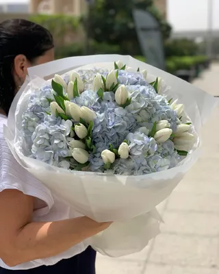 Океанский дрейф