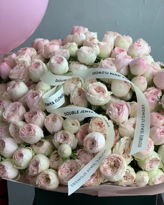 Gift set Trend Spark