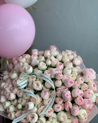 Gift set Trend Spark