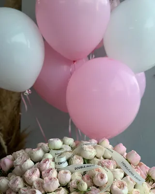 Gift set Trend Spark