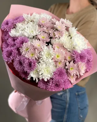 Monobouquet of chrysanthemums Velvetine delivery in Dubai