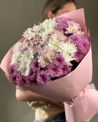 Монобукет из хризантем Velvetine