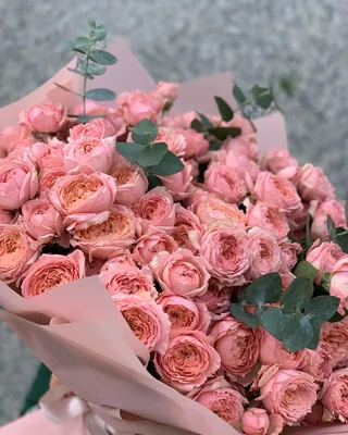Monobouquet of Julietta spray roses Pinkie delivery in Dubai