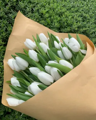 Monobouquet of tulips Pearly delivery in Dubai