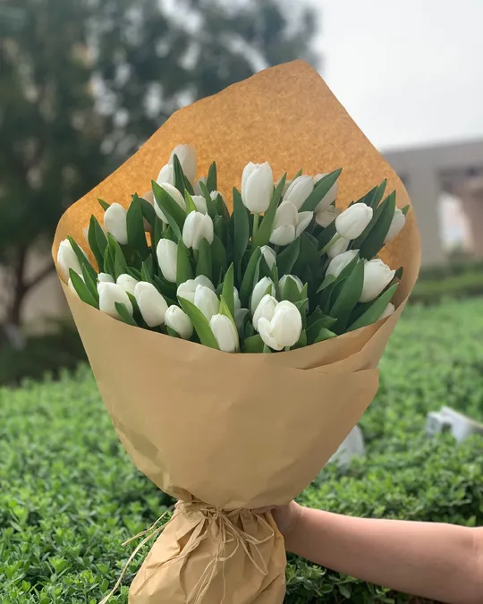 Монобукет тюльпанов Перламутровый