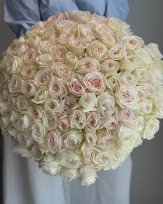 Monobouquet of fragrant white O'hara roses Glimmer