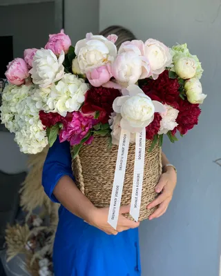 Basket arrangement Auroraflow