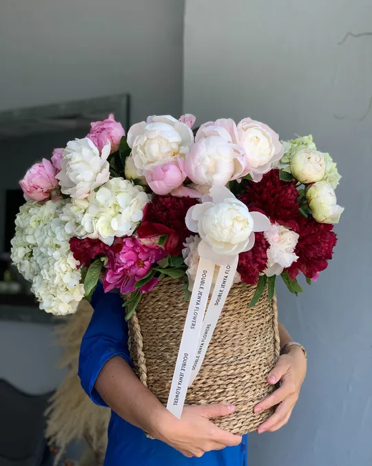 Basket arrangement Auroraflow