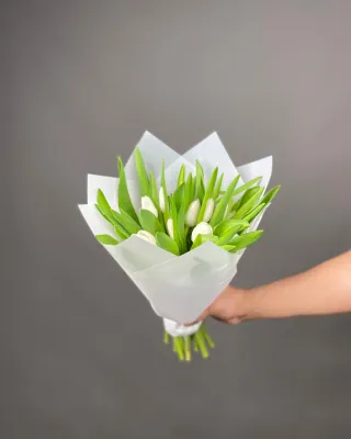 Монобукет тюльпанов Утренняя дымка