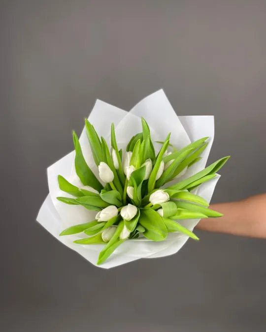 Монобукет тюльпанов Утренняя дымка