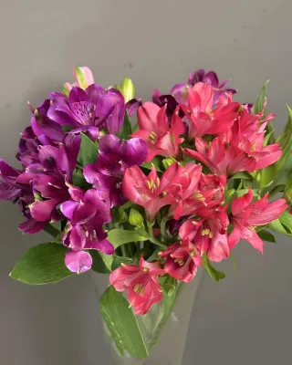 Floral Essence (Bi‑Weekly) delivery in Dubai