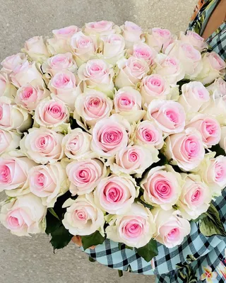 Cotton candy rose bouquet delivery in Dubai