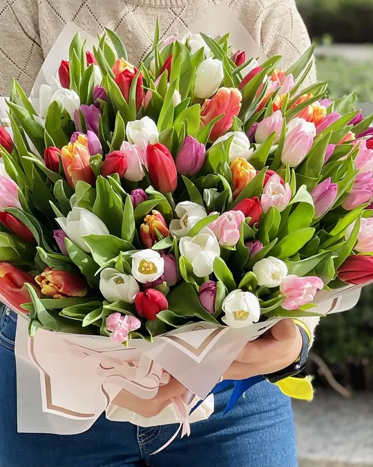 Монобукет Tulip mixed bouquet 101 tulips