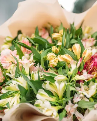 Monobouquets Alstroemeria grand mix
