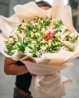 Monobouquets Alstroemeria grand mix delivery in Dubai