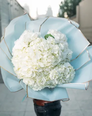 Монобукет White cloud